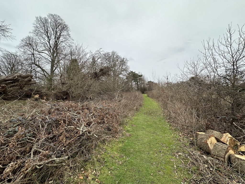 Lot: 74 - 0.29 ACRES OF FREEHOLD BROWNFIELD LAND IN A VILLAGE SETTING - Grass track through land